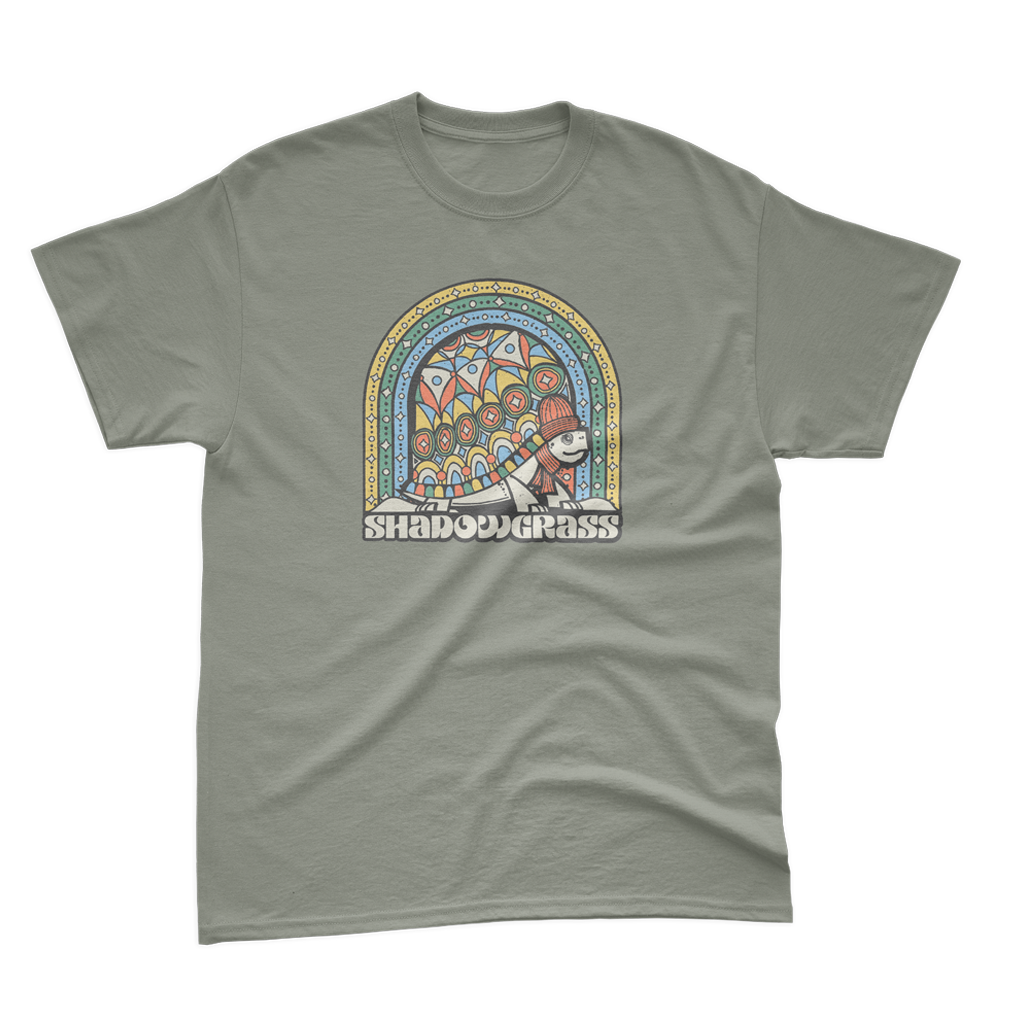 Winter Turtle T-Shirt (Sage)